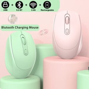 Bluetooth Wireless Mouse - (BT+USB+ Receiver)
